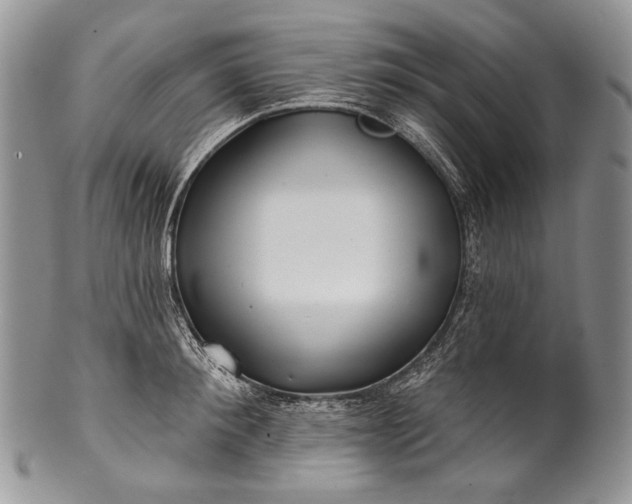 X0000100370900200806201625