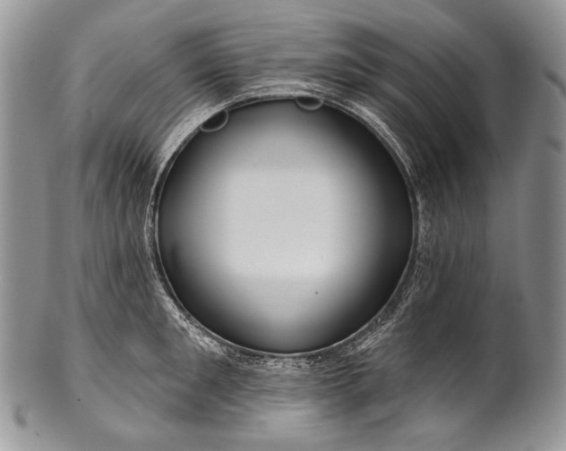 X0000100370901200806201624