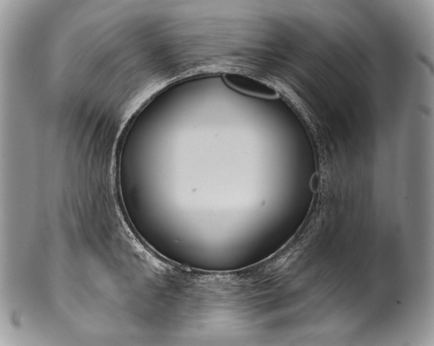 X0000100370902200806201624