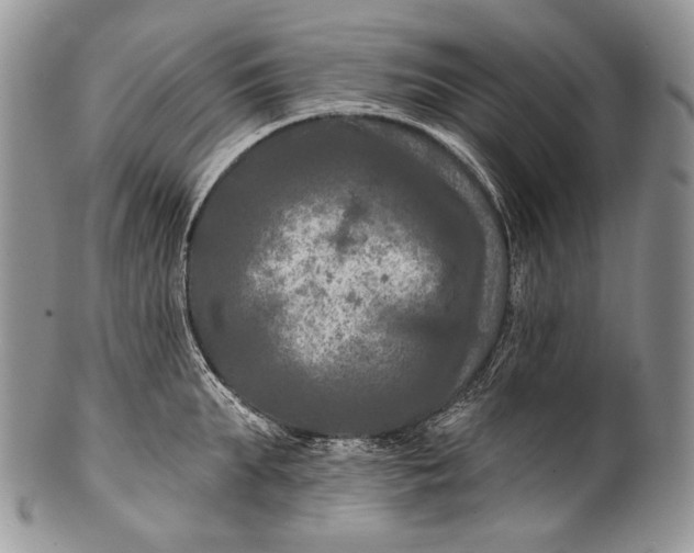 X0000100370903200806201624