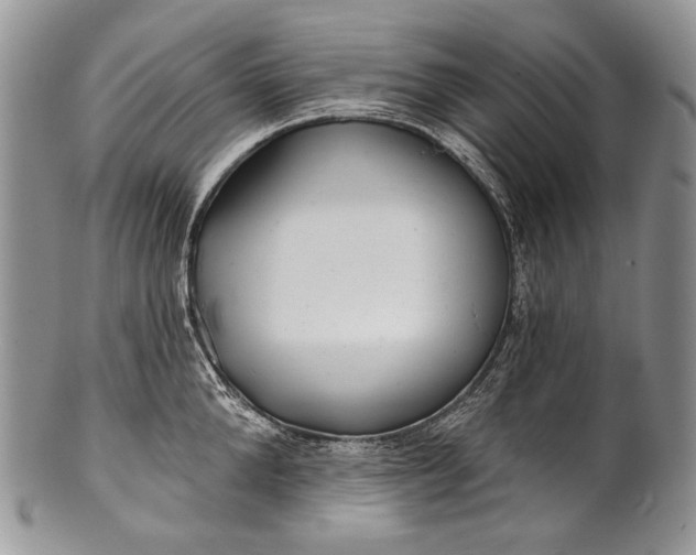 X0000100370904200806201624