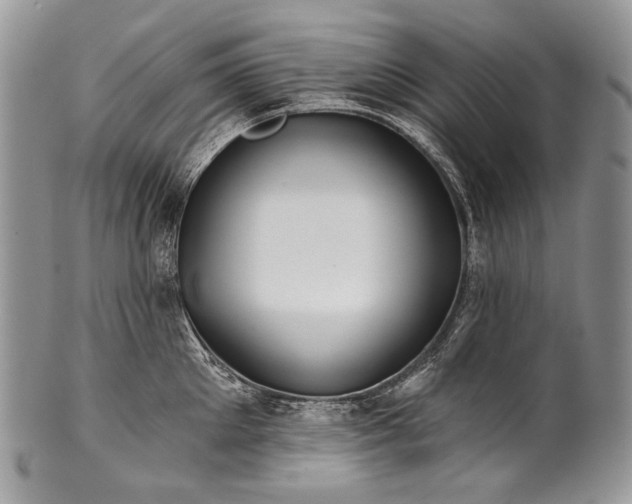 X0000100370905200806201624