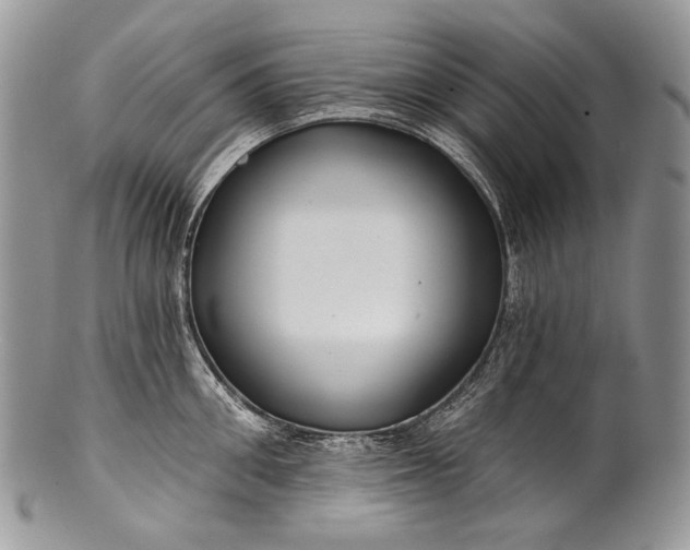 X0000100370906200806201624