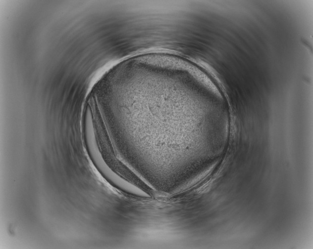 X0000100370910200806201624