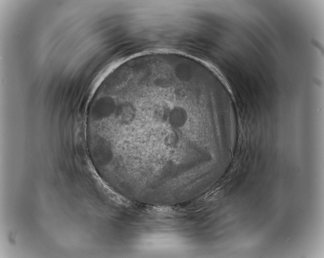 X0000100370911200806201624