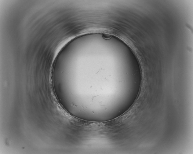 X0000100370912200806201624