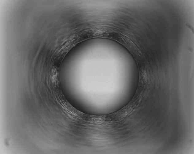 X0000100370914200806201624