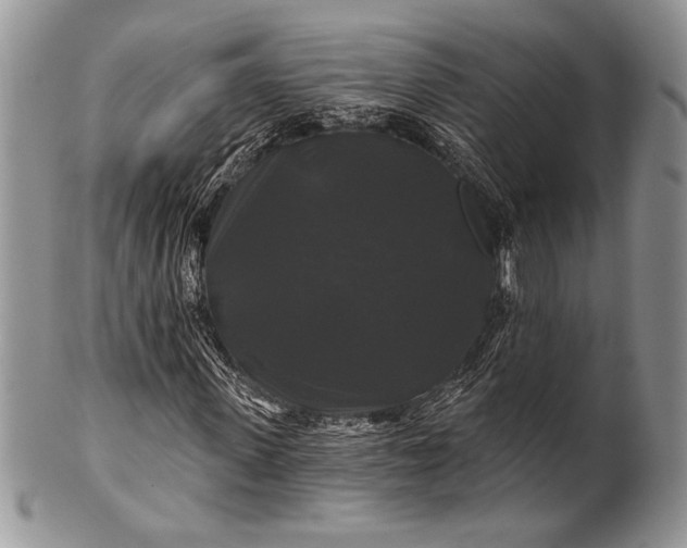 X0000100370915200806201624