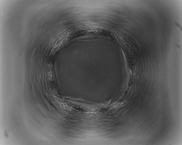 X0000100370916200806201624