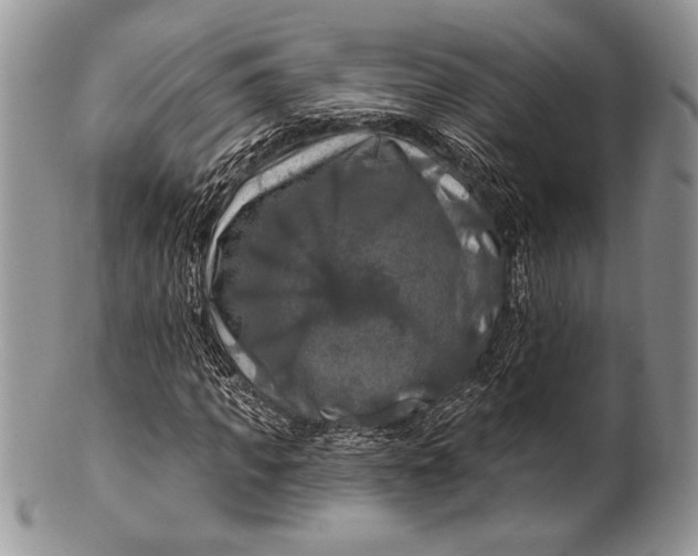 X0000100370917200806201624