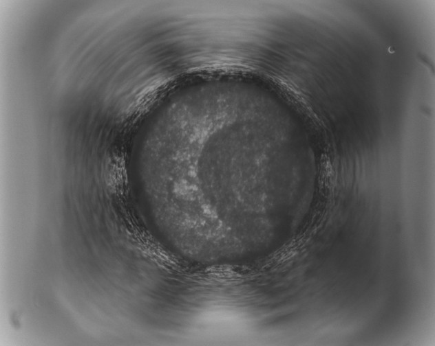 X0000100370918200806201624