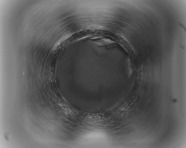 X0000100370919200806201624