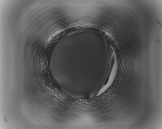 X0000100370920200806201624