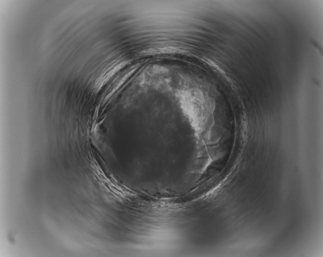 X0000100370921200806201624