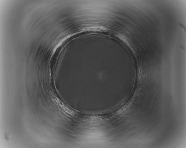 X0000100370923200806201624