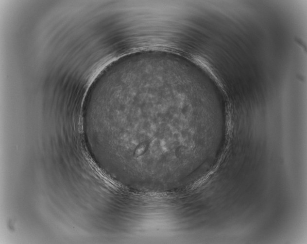 X0000100370924200806201624