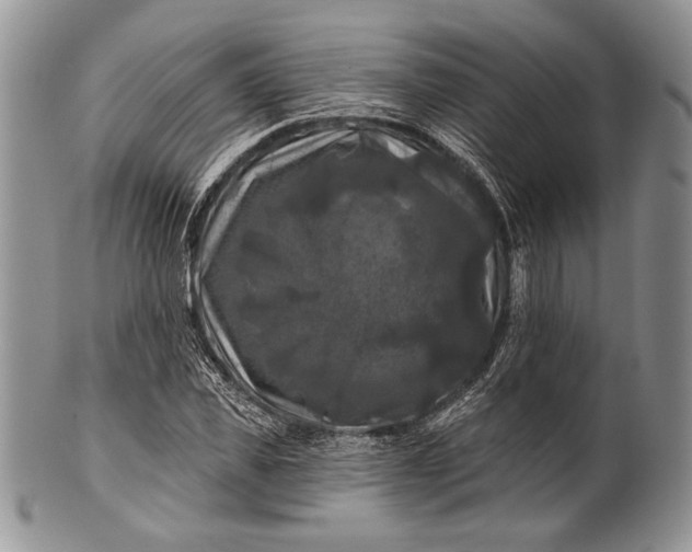 X0000100370925200806201624