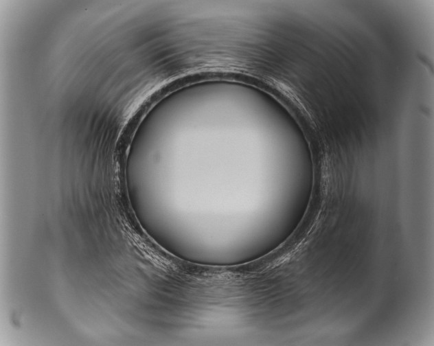 X0000100370926200806201624