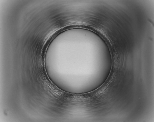 X0000100370927200806201624