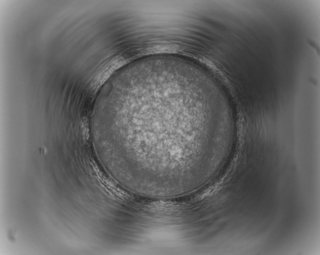 X0000100370929200806201624