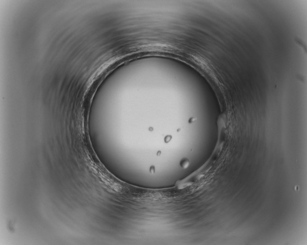 X0000100370931200806201624