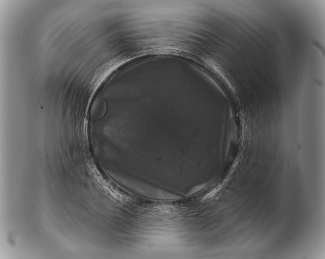 X0000100370932200806201624