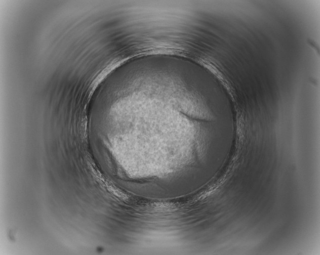 X0000100370933200806201624