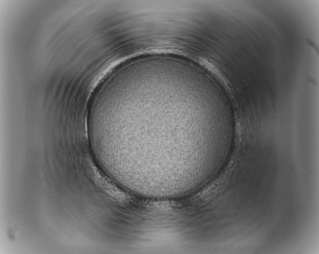 X0000100370934200806201624