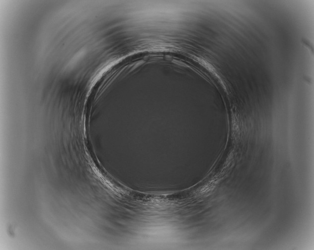 X0000100370935200806201624