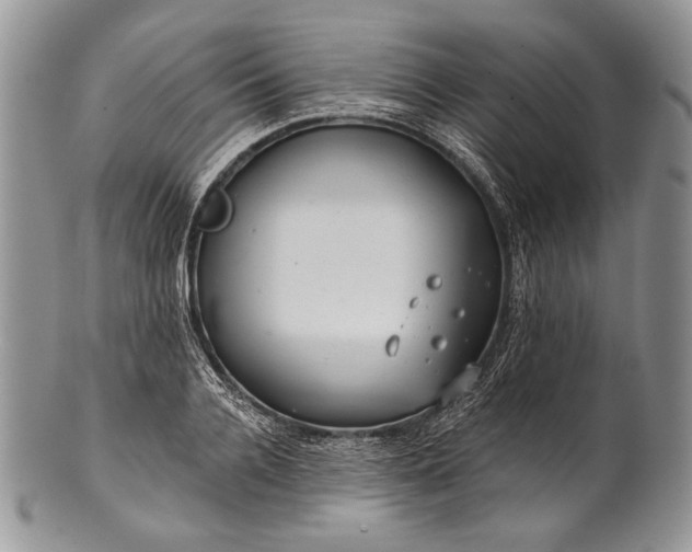 X0000100370936200806201624