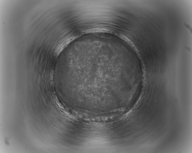 X0000100370937200806201624