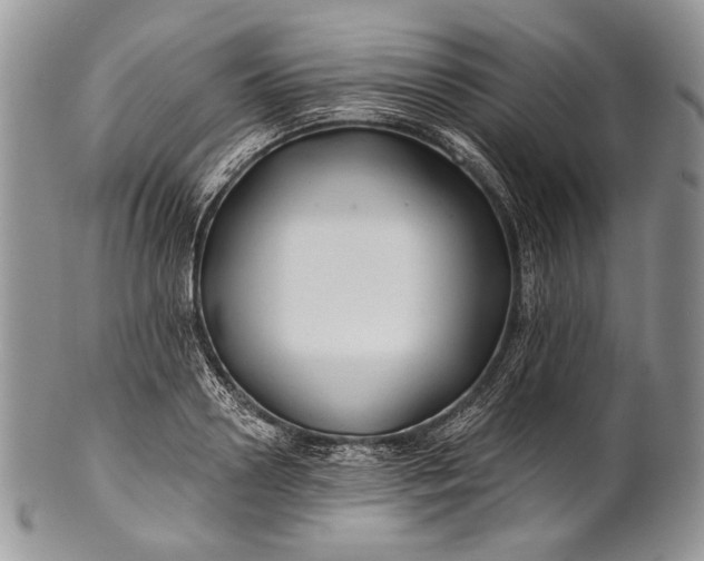 X0000100370938200806201624