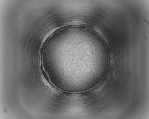 X0000100370939200806201624