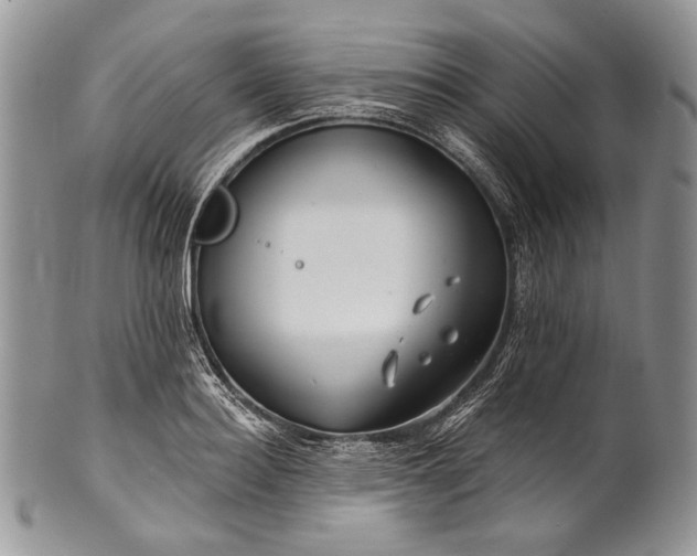 X0000100370940200806201624