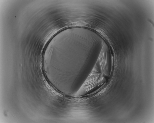 X0000100370941200806201624