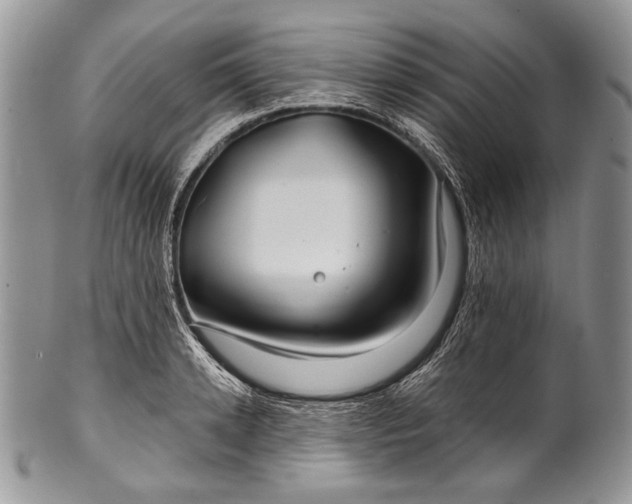 X0000100370942200806201624