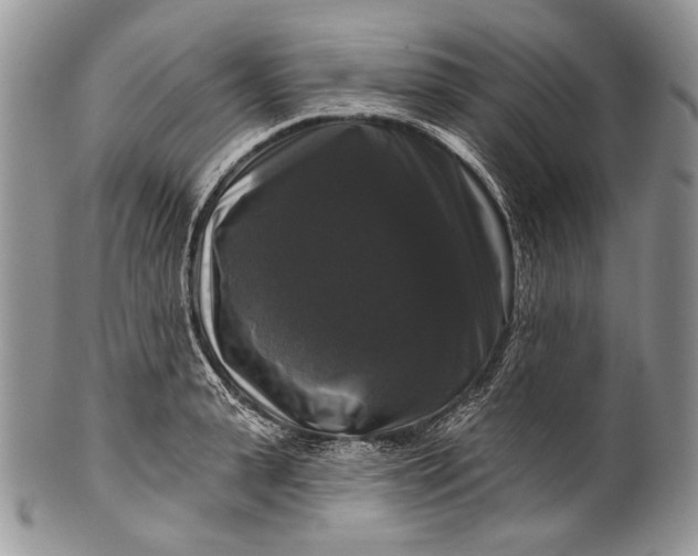 X0000100370943200806201624