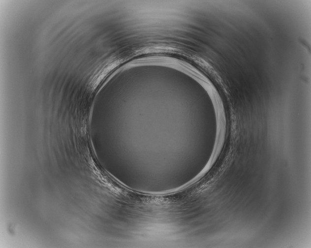 X0000100370945200806201624