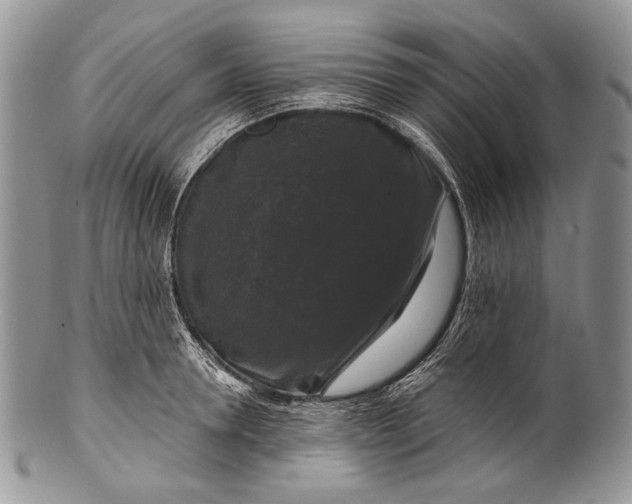 X0000100370946200806201624