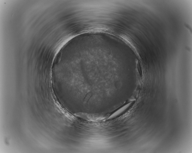 X0000100370948200806201624