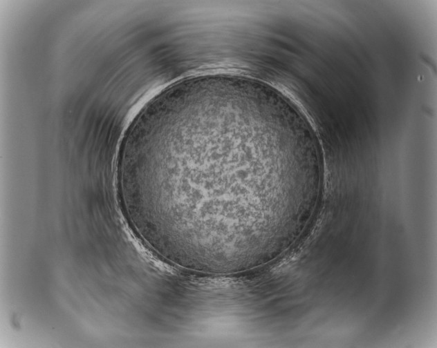 X0000100370949200806201624