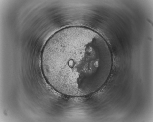 X0000100370950200806201624