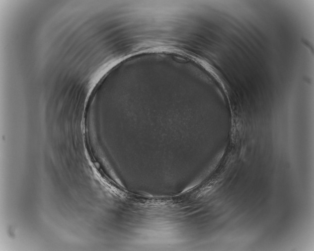 X0000100370951200806201624