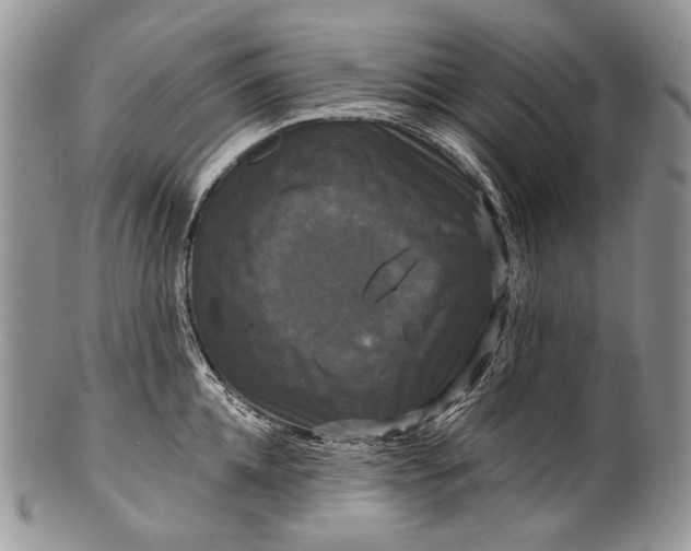 X0000100370952200806201624