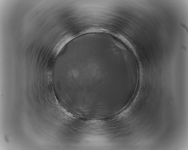 X0000100370953200806201624