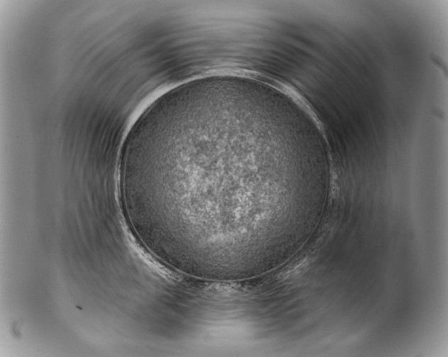 X0000100370955200806201624