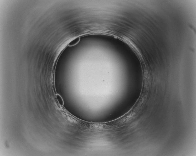 X0000100370956200806201624