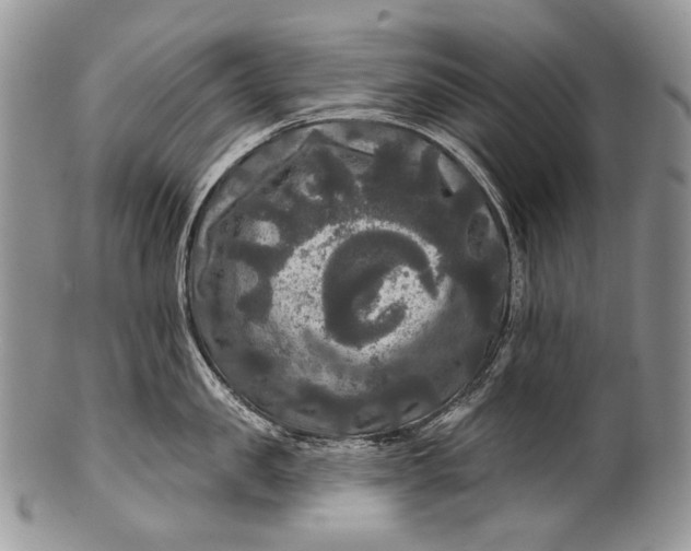 X0000100370957200806201624