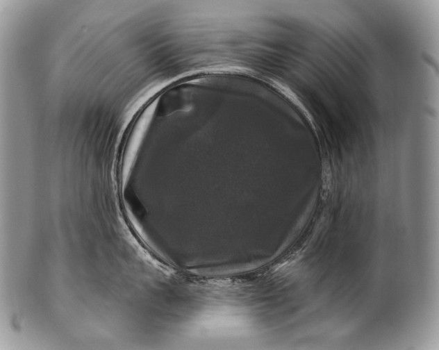 X0000100370959200806201624