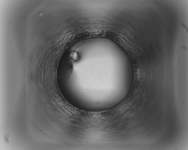 X0000100370961200806201624